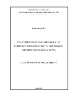 Phát triển thuật toán Điều khiển lai cho robot song song 3 bậc tự do Ứng dụng cho phẫu thuật khoan xương