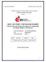 IUH - BCTT - CÔNG VIỆC KẾ TOÁN TẠI CÔNG TY TNHH ĐẦU TƯ PHÁT TRIỂN Y TẾ TUỆ AN
