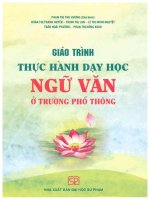 GIÁO TRÌNH THỰC HÀNH DẠY HỌC NGỮ VĂN Ở TRƯỜNG PHỔ THÔNG