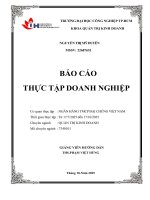 IUH - BCTT QTKD - NGÂN HÀNG TMCP ĐẠI CHÚNG VIỆT NAM