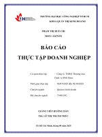 IUH - BCTT QTKD - Công ty TNHH Thương mại Dịch vụ Web Ideas