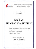 IUH - BCTT MARKETING - CÔNG TY CỔ PHẦN HOÀNG HẠC