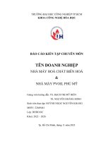 IUH - BÁO CÁO KIẾN TẬP CHUYÊN MÔN - NHÀ MÁY HOÁ CHẤT BIÊN HOÀ & NHÀ MÁY PVOIL PHÚ MỸ