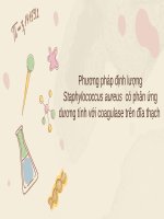 Phương pháp phân tích staphylococcus aureus