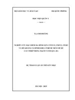 Nghiên cứu Đặc Điểm Đa hình gen cyp2c19, p2ry12, itgb3 và Đề kháng clopidogrel Ở bệnh nhân Được can thiệp Động mạch vành qua da