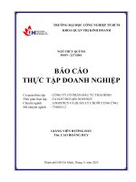 IUH - BCTT LOGISTICS VÀ QUẢN LÝ CHUỖI CUNG ỨNG - CÔNG TY CỔ PHẦN ĐẦU TƯ THÁI BÌNH