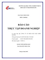 IUH - BCTT QTKD - CÔNG TY CỔ PHẦN MAY MẶC BÌNH DƯƠNG