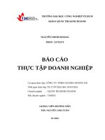 IUH - BCTT QTKD - CÔNG TY TNHH ASAMA HOÀNG HÀ