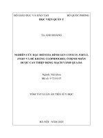 Tóm tắt luận Án nghiên cứu Đặc Điểm Đa hình gen cyp2c19, p2ry12, itgb3 và Đề kháng clopidogrel Ở bệnh nhân Được can thiệp Động mạch vành qua da