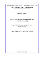 Tóm tắt nghiên cứu xu thế diễn biến hình thái cửa sông nhật lệ