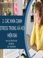 CÁC KHÍA CẠNH STRESS TRONG XÃ HỘI HIỆN ĐẠI