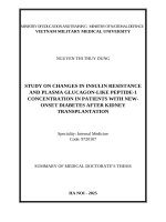 Tóm tắt luận Án tiếng anh nghiên cứu biến Đổi kháng insulin và nồng Độ glucagon like peptide   1 huyết tương Ở người bệnh Đái tháo Đường mới khởi phát sau ghép thận