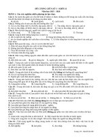 Đề cương giữa kỳ 1 khối 11