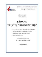 IUH - BCTT QTKD - CÔNG TY CP TẬP ĐOÀN VIỆT TÍN