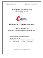 IUH - BCTT - CÔNG TÁC KẾ TOÁN TẠI CÔNG TY CỔ PHẦN GIẢI PHÁP CÔNG NGHỆ PSYS