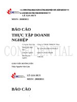 IUH - BCTT QTKD - Công ty TNHH TM&DV Nina