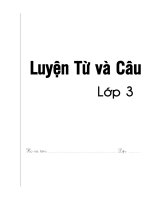Luyện từ và câu lớp 3 kết nối tri thức không Đáp Án