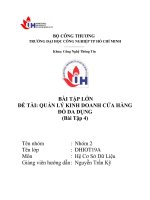 IUH - BÀI TẬP LỚN Hệ Cơ Sở Dữ Liệu - QUẢN LÝ KINH DOANH CỬA HÀNG ĐỒ DA DỤNG