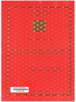 000091382 ÉTUDE DU CHOC CULTUREL DANS LE ROMAN << À L'ÉTRANGER » DE NICOLE MALINCONI