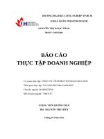 IUH - BCTT MARKETING - CÔNG TY CỔ PHẦN TẬP ĐOÀN HOA SEN