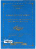000071376 -Học chữ Hán qua âm Hán – Việt, bộ thủ và hình ảnh 漢越音・部首や絵から漢字を学ぶ方法