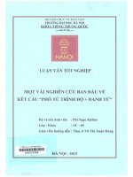 000074349 MỘT VÀI NGHIÊN CỨU BAN ĐẦU VỀ KẾT CẤU “PHÓ TỪ TRÌNH ĐỘ + DANH TỪ”