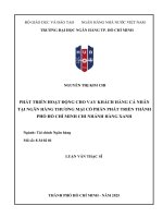 Luận văn phát triển hoạt Động cho vay khách hàng cá nhân tại ngân hàng thương mại cổ phần phát triển thành phố hồ chí minh chi nhánh hàng xanh