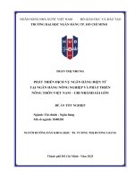 Phát triển dịch vụ ngân hàng Điện tử tại ngân hàng nông nghiệp và phát triển nông thôn việt nam   chi nhánh sài gòn
