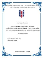 Giải Pháp Tăng Trưởng Tín Dụng Tại Ngân Hàng Nông Nghiệp Và Phát Triển Nông Thôn Việt Nam - Chi Nhánh Huyện Cần Đước Đông Long An.pdf
