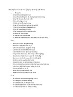 Một số phrasal v