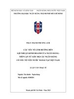 CÁC YẾU TỐ ẢNH HƯỞNG ĐẾN LỢI NHUẬN KINH DOANH CỦA NGÂN HÀNG TIẾP CẬN TỪ GÓC ĐỘ CÁC NGÂN HÀNG CÓ YẾU TỐ VỐN NƯỚC NGOÀI TẠI VIỆT NAM