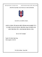 CHẤT LƯỢNG TÍN DỤNG ĐỐI VỚI DOANH NGHIỆP VỪA VÀ NHỎ TẠI NGÂN HÀNG THƯƠNG MẠI CỔ PHẦN SÀI GÒN THƯƠNG TÍN CHI NHÁNH TRUNG TÂM