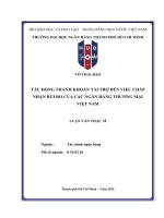 Luận văn tác Động thanh khoản tài trợ Đến việc chấp nhận rủi ro của các ngân hàng thương mại việt nam