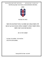 Một số giải pháp nâng cao hiệu quả hoạt Động tín dụng tại ngân hàng nông nghiệp và phát triển nông thôn việt nam chi nhánh 9