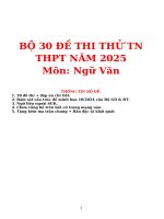 Bộ 30 Đề thi thử 2025