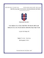 Luận văn tác Động của tăng trưởng tín dụng Đến lợi nhuận của các ngân hàng thương mại việt nam