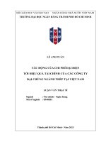 Luận văn tác Động của chi phí Đại diện tới hiệu quả tài chính của các công ty Đại chúng ngành thép tại việt nam