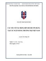 Luận văn các yếu tố tác Động Đến rủi ro tín dụng tại các ngân hàng thương mại việt nam