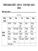 Thời khoá biểu  lớp 22c  năm học 2025