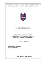Luận văn Ý Định mua sắm ngẫu hứng trong khuyến mãi chớp nhoáng trên sàn thương mại Điện tử