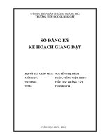 Bìa kế hoạch cô thắm