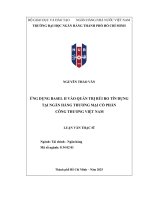 Luận văn Ứng dụng basel ii vào quản trị rủi ro tín dụng tại ngân hàng thương mại cổ phần công thương việt nam