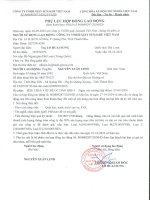 Hợp Đồng lao Động