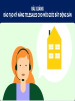 Bài giảng -  KỸ NĂNG TELESALES CHO MÔI GIỚI BẤT ĐỘNG SẢN