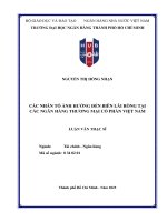 Luận văn các nhân tố Ảnh hưởng Đến biên lãi ròng tại các ngân hàng thương mại cổ phần việt nam