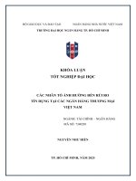 Các nhân tố Ảnh hưởng Đến rủi ro tín dụng tại các ngân hàng thương mại việt nam