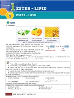 Bài 1  ester   lipid   hs   fix