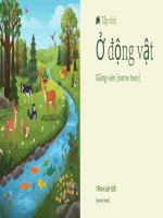 Bài thuyết trình   Ở Động vật