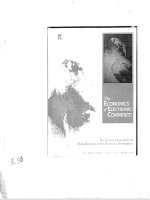 Kt 000116 The ECONOMICS of ELECTRONIC COMMERCE KINH TẾ CỦA THƯƠNG MẠI ĐIỆN TỬ