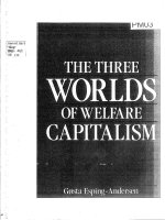 Kt 000110 THE THREE WORLDS OF WELFARE CAPITALISM BA THẾ GIỚI PHÚC LỢI CHỦ NGHĨA TƯ BẢN